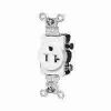 Picture of Single-Receptacle 20-Amp 125-Volt Double-Pole 3-Wire Grounding