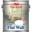 Picture of Wall Paint Latex-Paint White