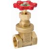 Picture of Gate-Valve 1/2ips P