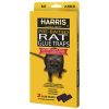 Picture of Glue-Trap Rat-Size