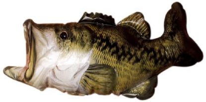 Picture of Infaltable Bass