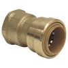 Picture of 3/4" Female Push-Fit Adapter Forged Brass Pf X Fpt