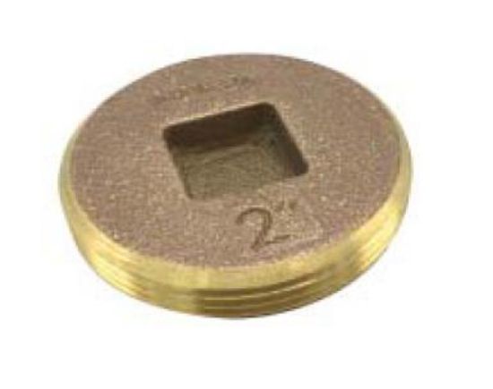 Picture of 2" Clean-Out-Plug Countersunk
