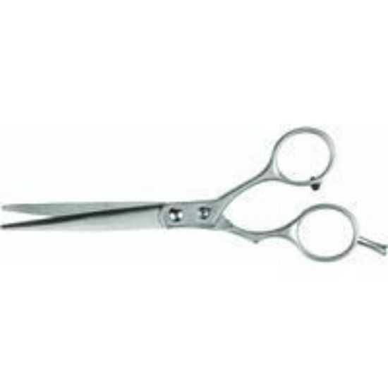 Picture of Barber 6" Scissors