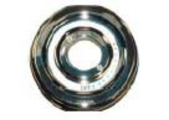 Picture of Safetemp Shower Plate