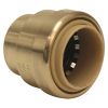 Picture of 3/4" Push-on Cap Brass Dismountable