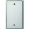 Picture of Wall-Plate Blank