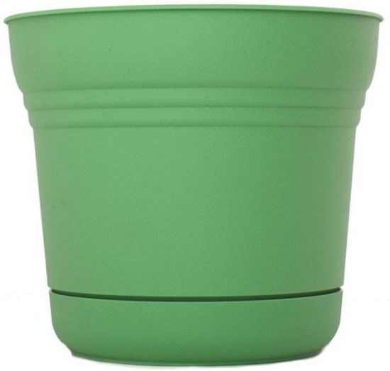 Picture of 5" Saturn Planter Fresh Green