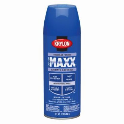 Picture of Cover Maxx True Blue Paint With Rust Protection