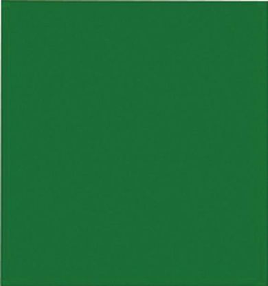 Picture of Tissue-Paper 20" X 20" Green