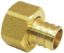 Picture of Pex Fitting Barb Female Adapter Swivel Brass ¾" Barb X ¾" Fpt