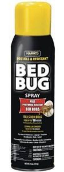 Picture of Premium Bed-Bug And Egg For Pyrethroid Resistant Strains