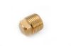 Picture of Pipe-Plug Cored-Plug 1/4"