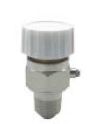 Picture of 1/8 Automatic Hot Water/ Steam-Vent