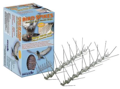 Picture of Bird Spikes 10'