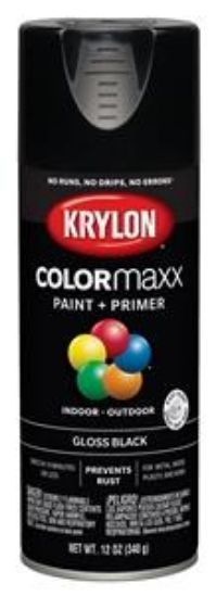 Picture of Paint-&-primer Indoor-&-outdoor Black-color