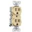 Picture of Electrical-Outlet Duplex-Receptacle 15-Amp 2-Pole 5-15R Ivory