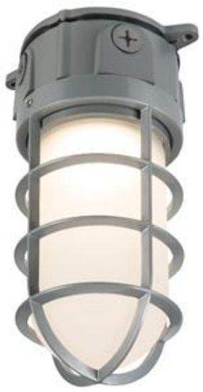 Picture of Ceiling Fixture Vapor Tight Cast Aluminum Cage 277 V 17.7 W 3500 K 1450 Lumens