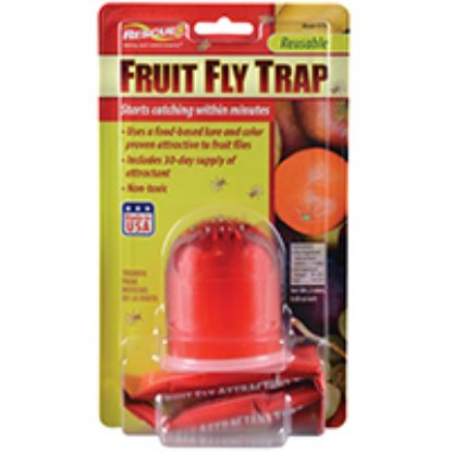 Picture of Fruit-fly Trap With Bait