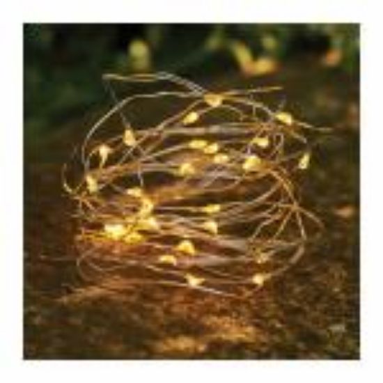 Picture of String-lights Warm White 17' 50 Lights Battery-operated Aa's Not Included