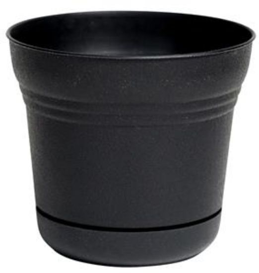 Picture of Plant-Pot Saturn
