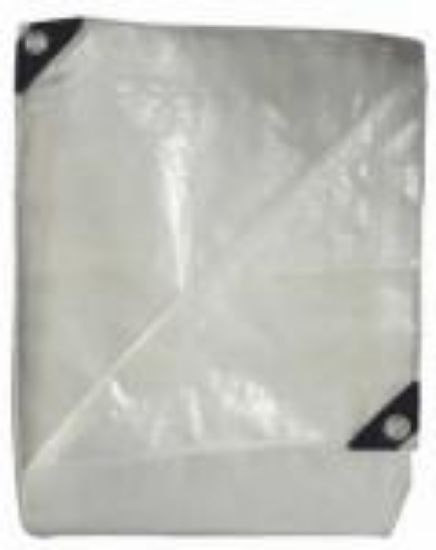Picture of Farm-tarp Heavy Duty With Grommets Silver-white 20'