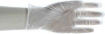 Picture of Disposable-Gloves 10" 5 mil