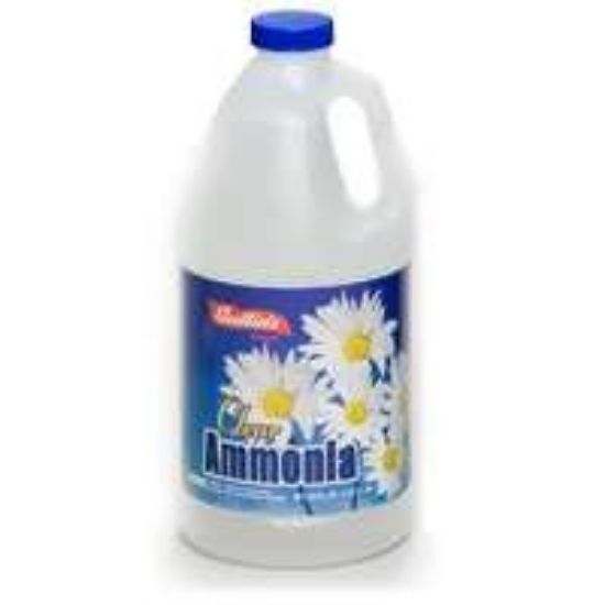 Picture of Clear Ammonia