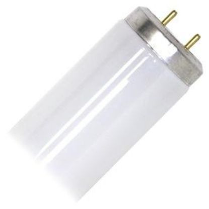 Picture of Light-Bulb F40CWX T-12