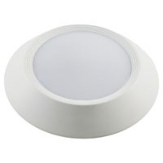 Picture of Light-Fixture Ceiling-Mount 750 Lumens