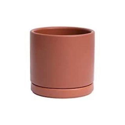 Picture of 4" Terracotta Flower Pot With Saucer