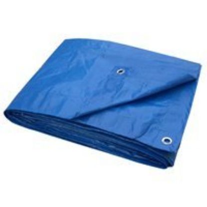 Picture of Tarp Polyethylene Blue 10' X 12'