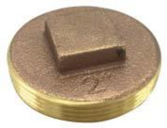 Picture of 6" Clean-Out-Plug Raised Head
