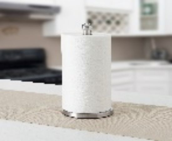 Picture of S/S PAPER TOWEL HOLDER