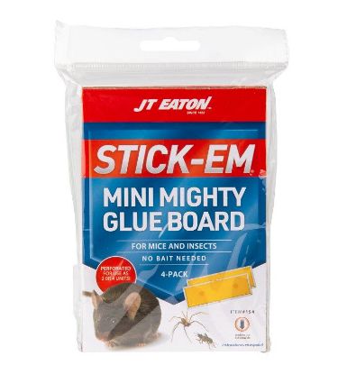 Picture of Mouse-trap Glue-board Mini-mighty