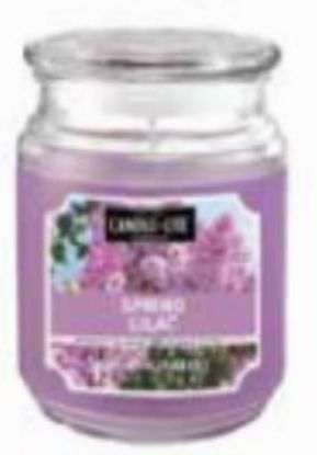 Picture of Jar-Candle Scented-Candle 18oz Terrace Jar Spring Lilac