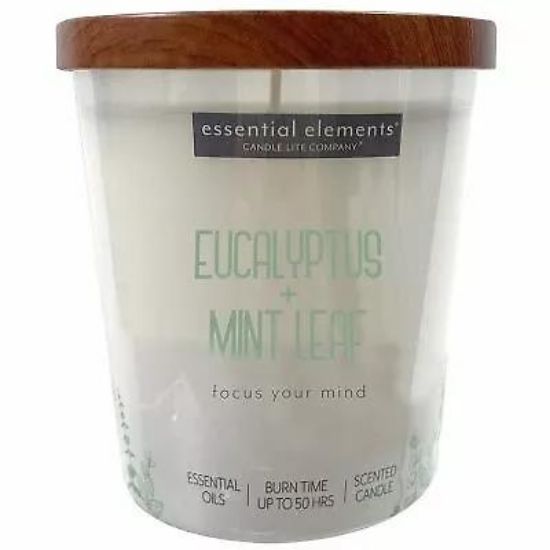 Picture of Essential Elements 9oz Jar W/wooden Lid- Eucalyptus & Mint Leaf