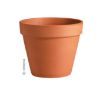 Picture of Plant-Pot Terra-Cotta Standard 12"
