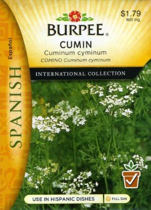 Picture of Cumin Spanish