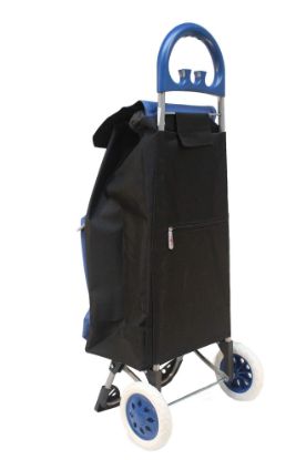 Picture of Shopping-Cart Canvas