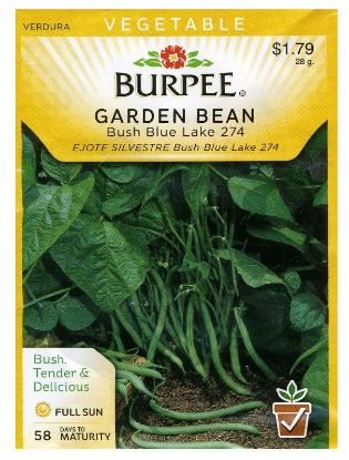 Picture of Bush Blue Garden Bean Seeds