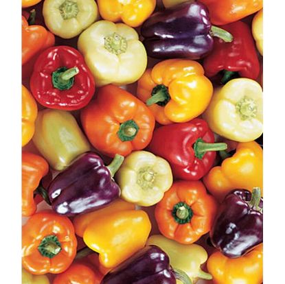 Picture of Sweet Pepper Blend Seeds