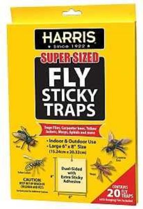 Picture of Sticky Fly-trap