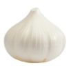 Picture of Garlic Saver