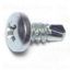 Picture of Sheetmetal-Screw Zinc-Plated Pan #10 x 1/2"