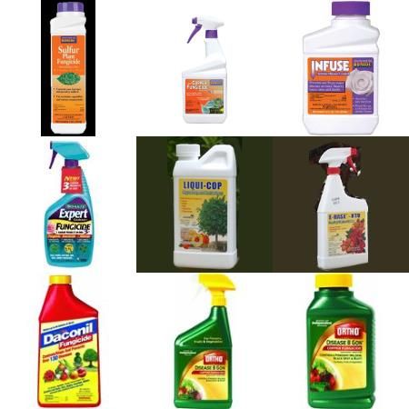 Picture for category Fungicides