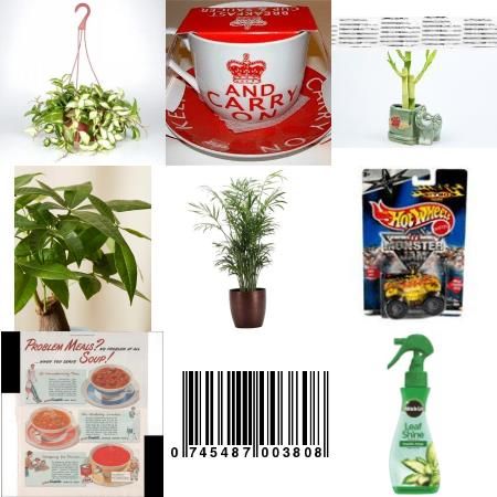 Picture for category Plants
