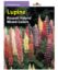 Picture of Lupine Russell Hybrid Mixed Colors