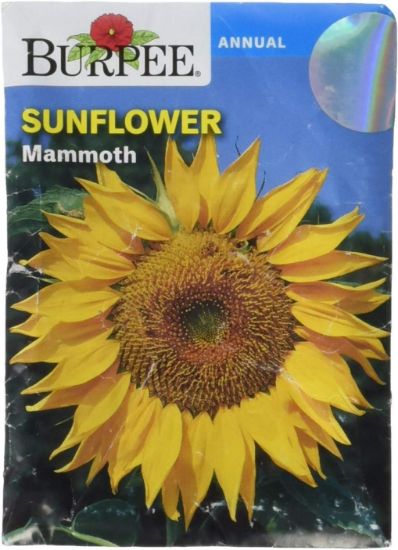 Picture of Sunflower Mammoth