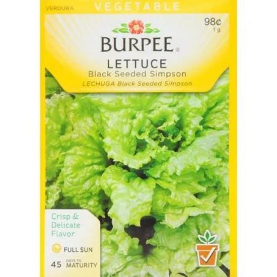 Picture of Simpson Lettuce Seeds